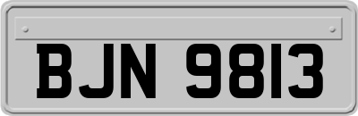 BJN9813