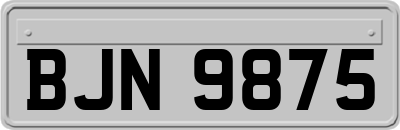 BJN9875
