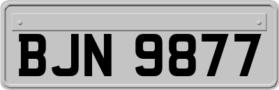 BJN9877