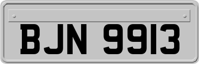 BJN9913