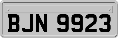 BJN9923
