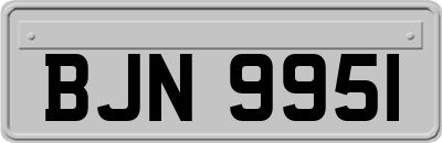 BJN9951