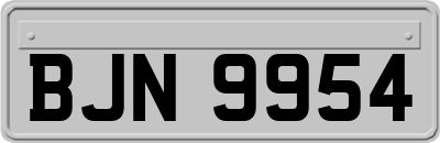 BJN9954