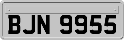 BJN9955
