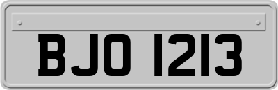 BJO1213