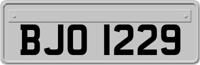 BJO1229
