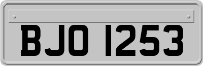 BJO1253