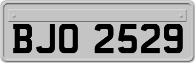 BJO2529