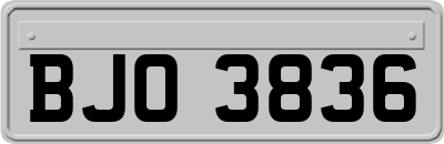 BJO3836