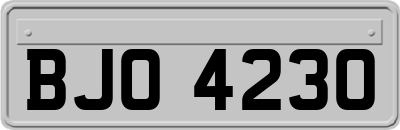 BJO4230