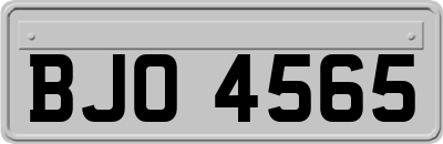 BJO4565