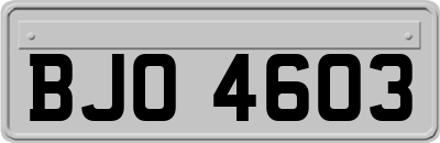 BJO4603