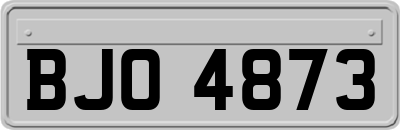 BJO4873