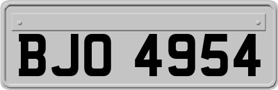BJO4954