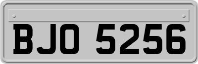BJO5256