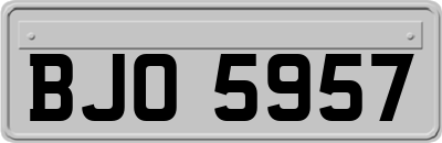 BJO5957