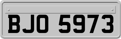 BJO5973