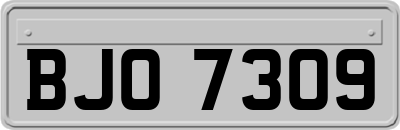 BJO7309