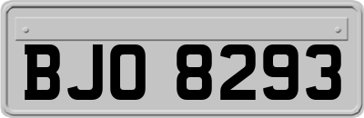 BJO8293