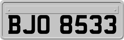 BJO8533