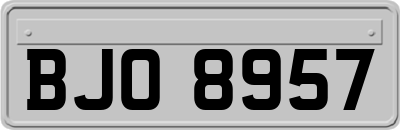 BJO8957