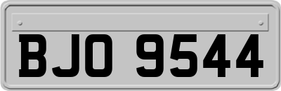 BJO9544