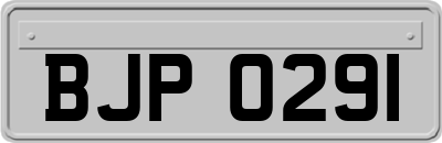 BJP0291