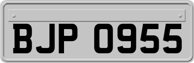BJP0955