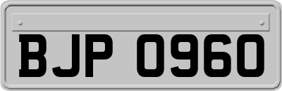 BJP0960