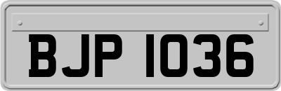 BJP1036