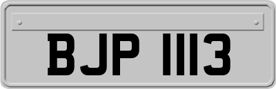BJP1113