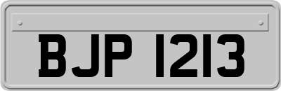BJP1213