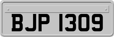 BJP1309