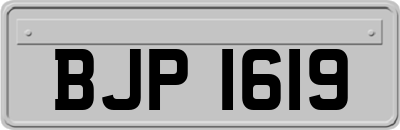 BJP1619