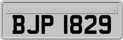 BJP1829