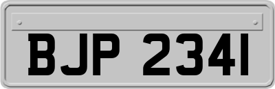 BJP2341