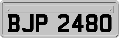 BJP2480