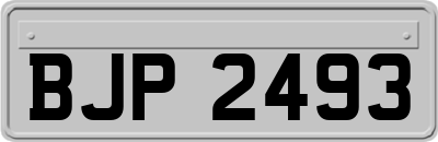 BJP2493