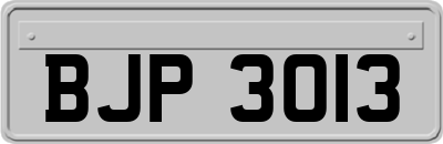 BJP3013