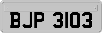 BJP3103