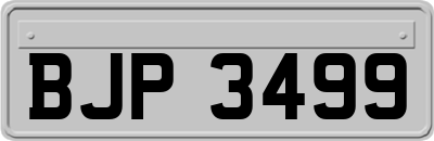 BJP3499