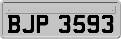 BJP3593