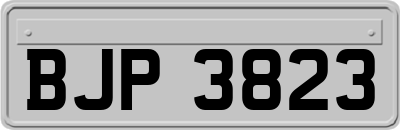 BJP3823