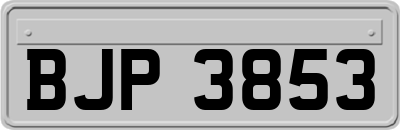 BJP3853