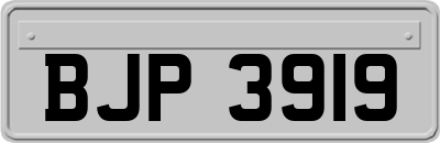 BJP3919