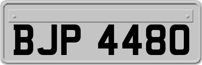 BJP4480