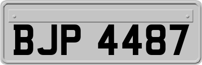 BJP4487
