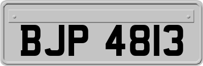 BJP4813