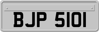 BJP5101