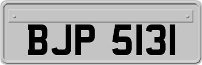 BJP5131